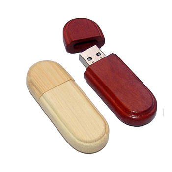 USB Flash Drive 2G