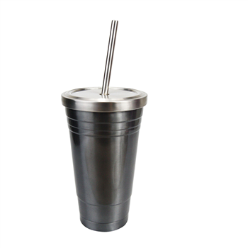 Stainless Straw Cup