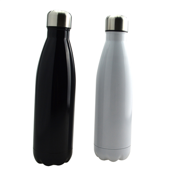 Stainless Steel Vacuum Bottle
