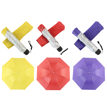 Automotive Umbrella