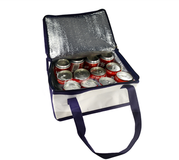 Outdoor cooler bag for 12 cans