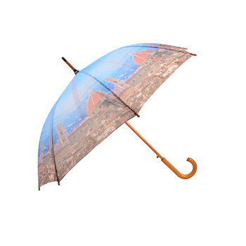 Auto open Umbrella with Wood Handle