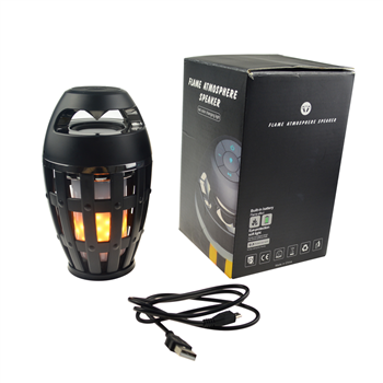 LED Flame Light Wireless Speaker