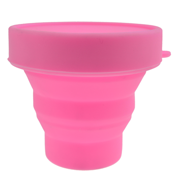 Collapsible TPE Pet Bowl with Lid