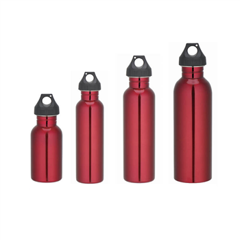 Sports Stainless Steel Bottle