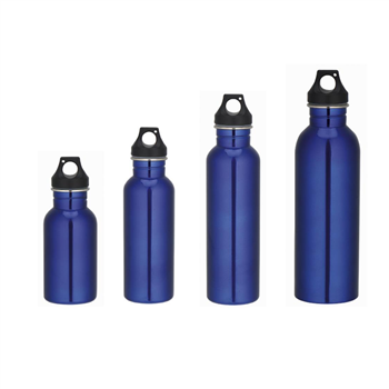 Sports Stainless Steel Bottle