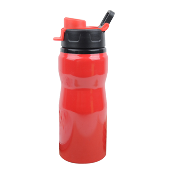 Water Bottle with Handle