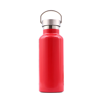 17OZ Stainless Steel Double Wall Thermos Bottle