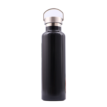 20OZ Stainless Steel Double Wall Thermos Bottle