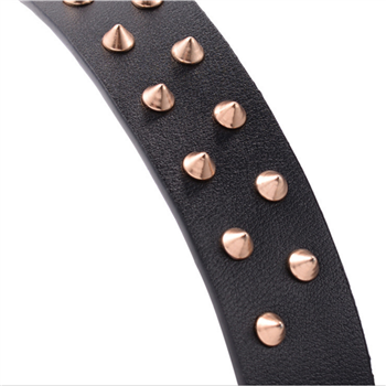 Rivet Dog Collar