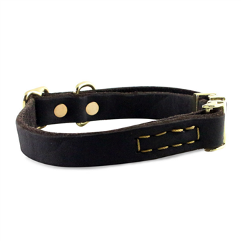 Alloy Buckle Dog Collar