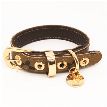 Fancy Pet Collar 