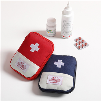Portable medical kit