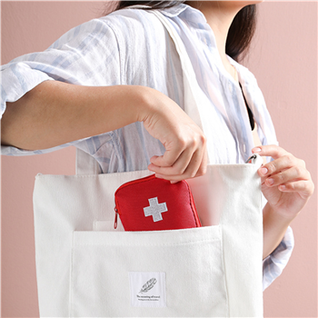 Portable medical kit