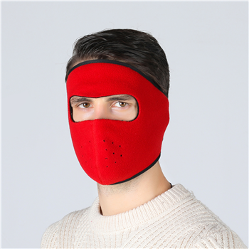 Winter Warm Face Mask