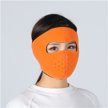 Winter Warm Face Mask