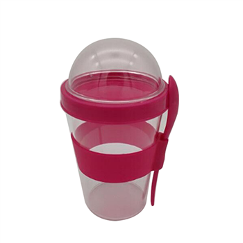 Double Layer Container Cup with Spoon