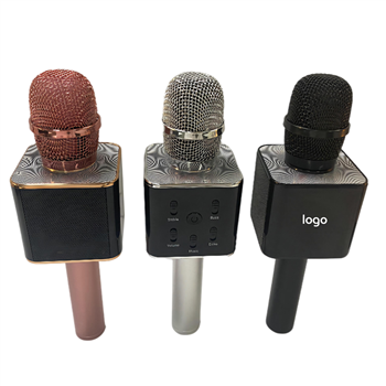 Custom Karaoke Microphone 