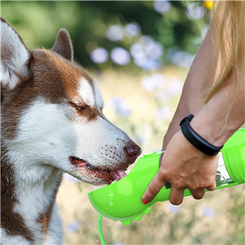Dog Travel Water Bottle