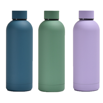 16oz Stainless Steel Outdoor Bottle