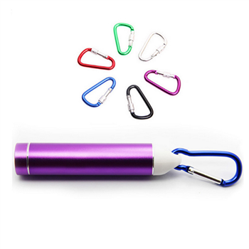 Portable Power Bank with Carabiner