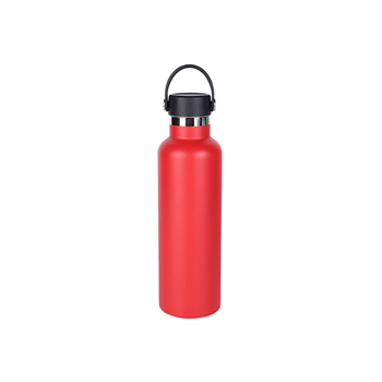 18oz Stainless Steel Bottle with Handle Lid