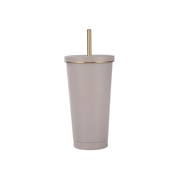 25 OZ Double Wall Insulated Tumbler With Straw