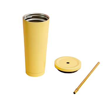 25 OZ Double Wall Insulated Tumbler With Straw