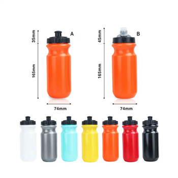 Sport Bottle with Push Pull Lid