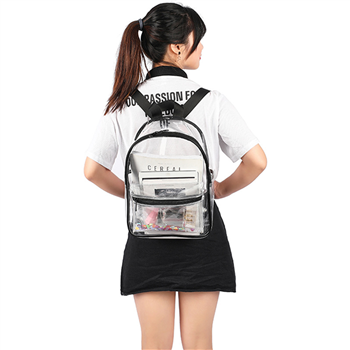 Clear Backpack