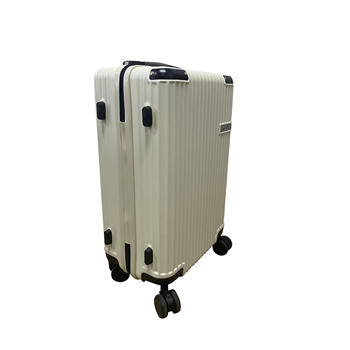 20-Inch Expandable Luggage