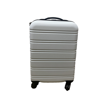 20-Inch Luggage
