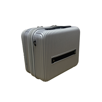 14-Inch Luggage