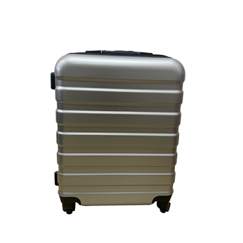 20-Inch Expandable Luggage