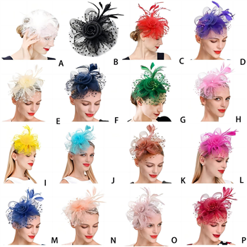 Lady fascination hats Mesh Feather Hair clip