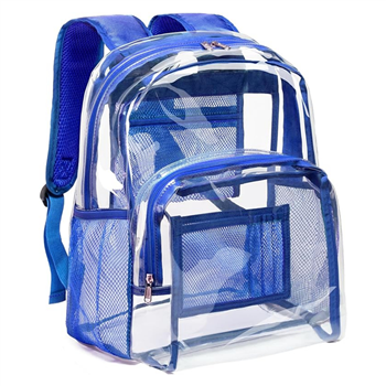 Clear Backpack