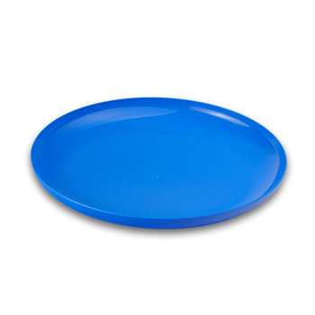 Plastic Frisbee