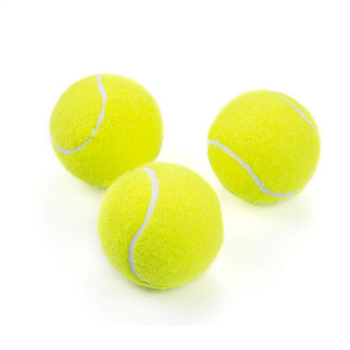 Tennis Balls in Canister