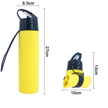 21OZ Collapsible silicone water bottle