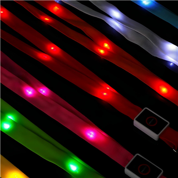 Light Up Lanyard