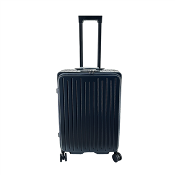 20 Inch Luggage