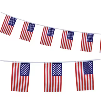 American String Flag