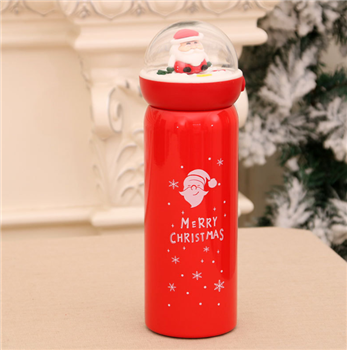 Santa Claus Water Bottle