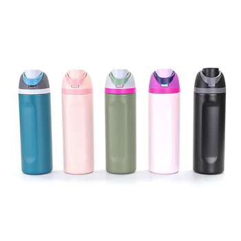 24 oz Insulated Stainless Steel Bottle