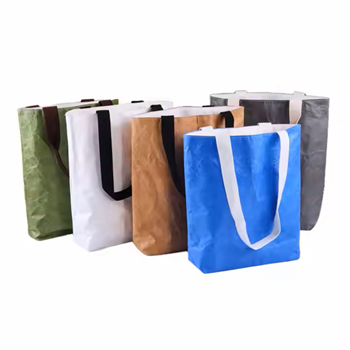 Tyvek Paper Grocery Bag