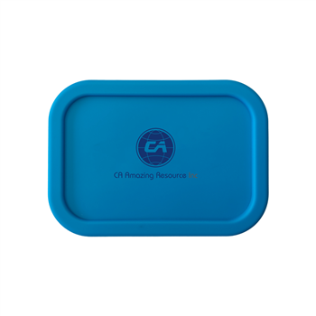 Silicone Bento Box