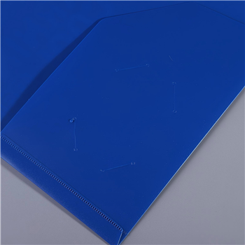 Plastic Two Pocket Folders