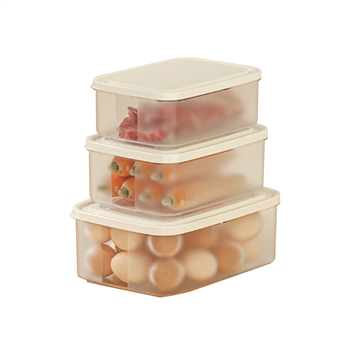 Containers for FridgePlastic Fresh Keeper