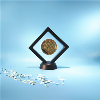 Coin Display Case