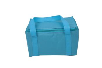 Cooler Bag